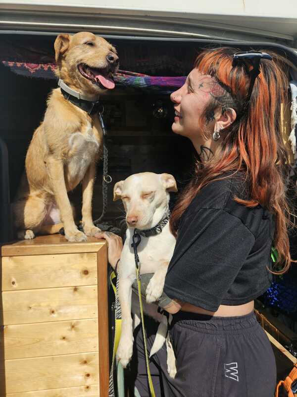 Samen met de honden