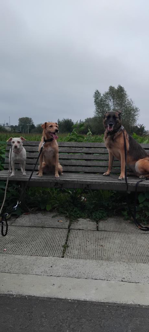 Uma en Rhea met Belini